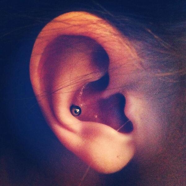 katieauld's tweet photo. Chuffed with my new piercing #conch http://t.co/y1d3YXo5qm