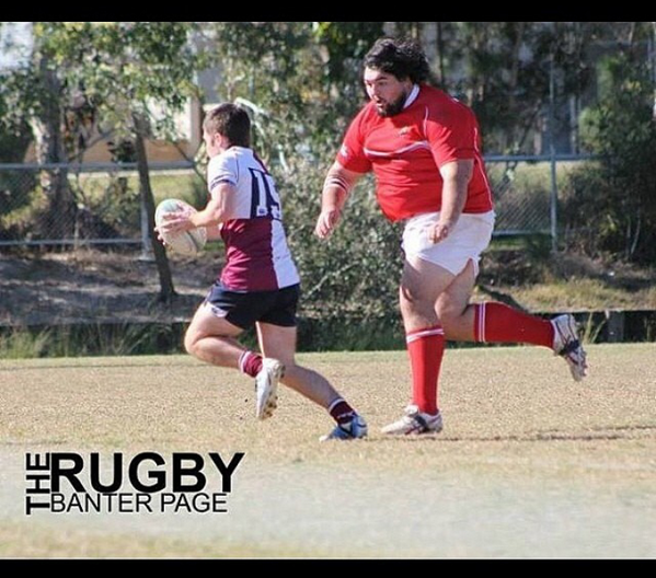 ruan stander tweet media