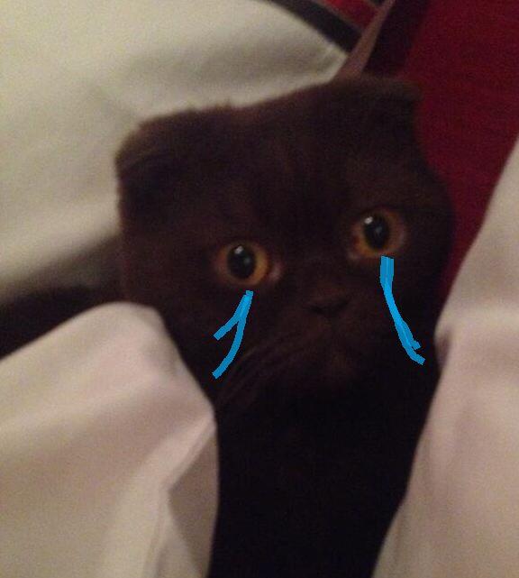 ChocoBeo's tweet image. c'est quand le week end :'( :'(