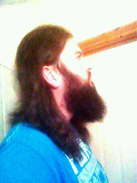 BeardLgab's tweet photo. @RateMyBeard please rate my beardage from Wexford, Ireland http://t.co/JfnYptuKUK