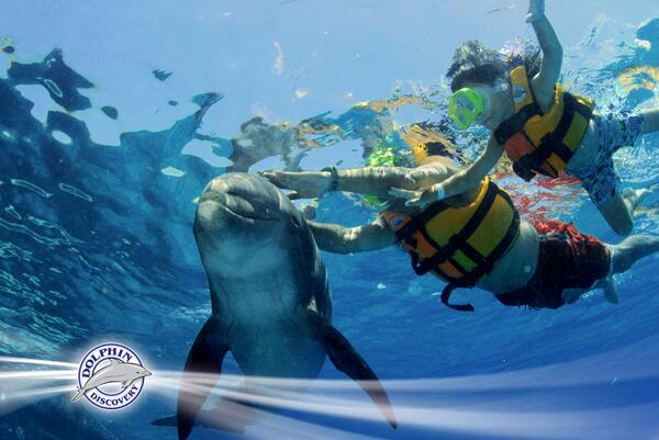 dolphindiscENG's tweet image. #AprilPromo in April become a Child, book and pay as a kid! Check this out -&amp;gt;