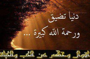 Azalrgal2014's tweet photo. @looloo2365 http://t.co/o1oDllpRds