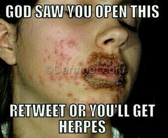 mindofmagoo's tweet image. I wouldn't risk it...