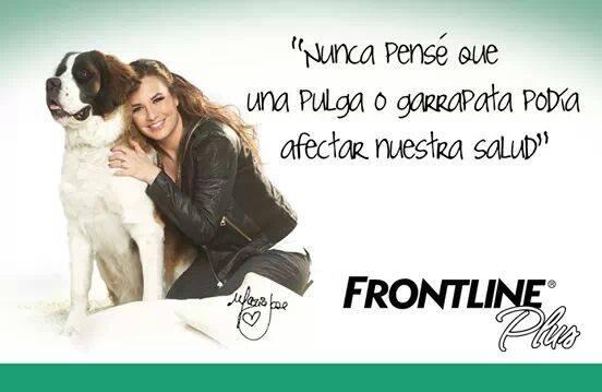 palomitasDeJosa's tweet image. super la  foto @lajosa @LaPanchuki @mascotapro #MascotaProtegida #FrontlinePlus