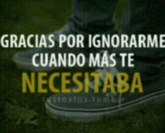 DMFernandez3 tweet picture