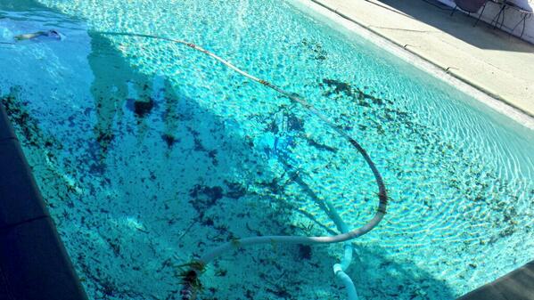 AClearPools's tweet image. #NASTYPOOLS are never a problem for AZCP! !!!!