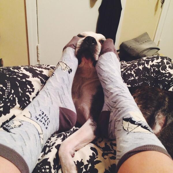 AppleButtonhead's tweet image. Zach loves foot rubs #zachattack