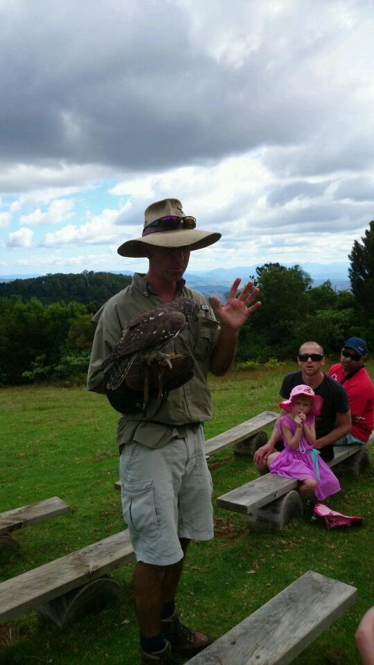 Birds of prey show @OReillys_GC #Hinterland #rainforestretreat #daytours Having a blast