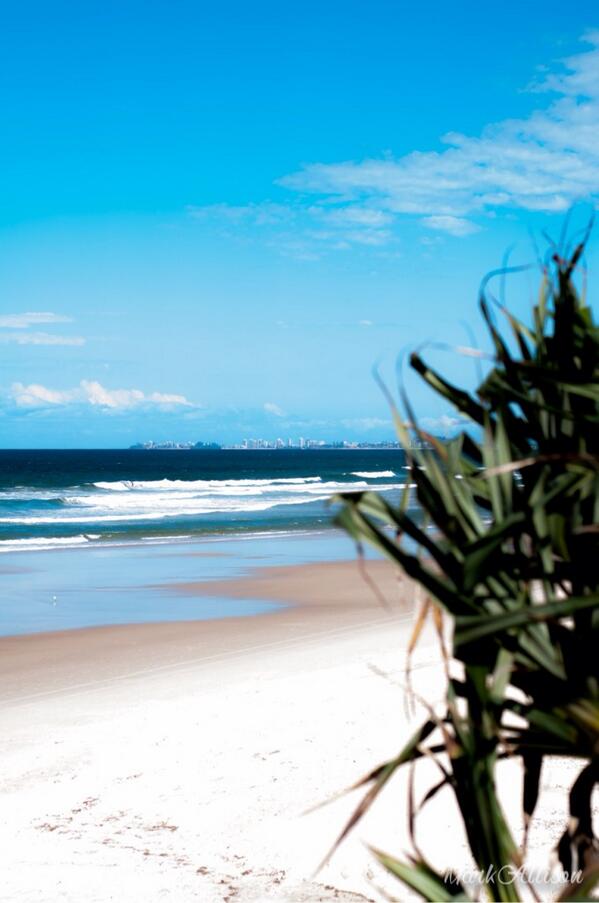MDGA's tweet photo. Beach mop chops!? http://t.co/t50BS3swF5
