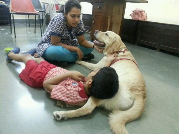 AngelsWoof's tweet photo. Canine therapist Zoey's new profession, being a headrest;) http://t.co/Oa6FjaWA8v