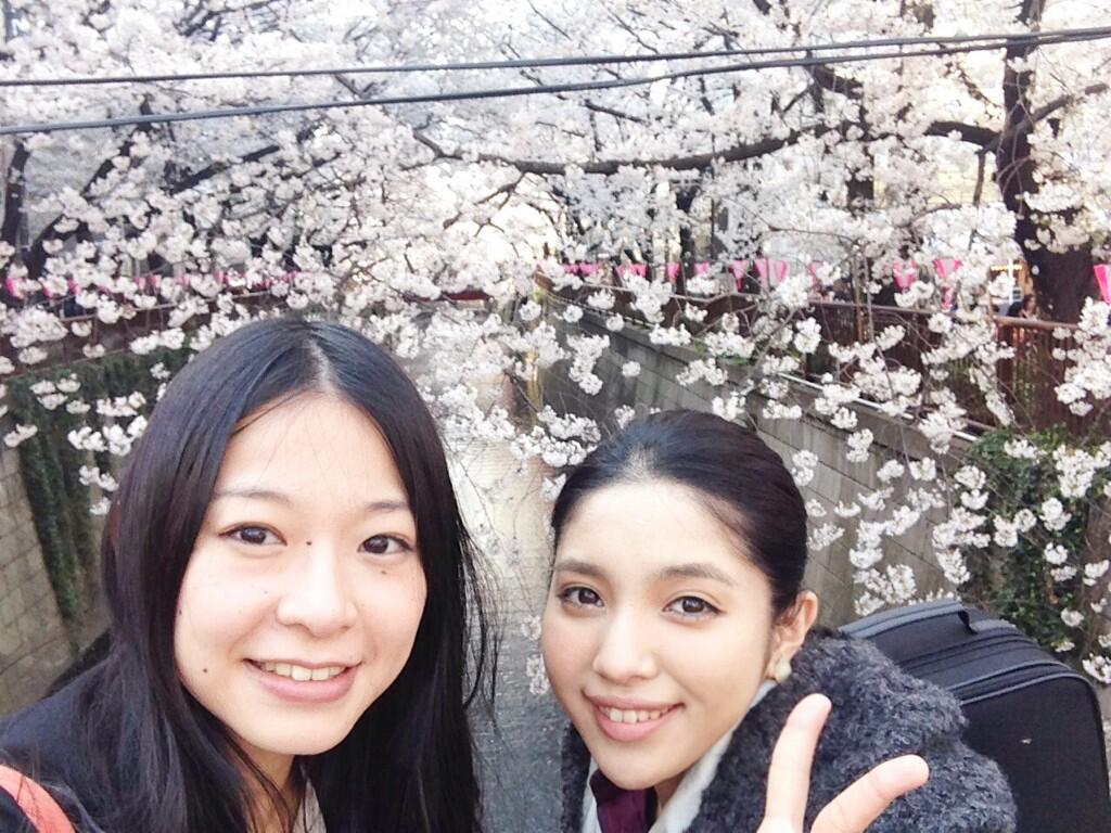城 南海 きずき みなみ Staff En Twitter 今日の雨で桜散っちゃうのかなぁ 雲れぇい 先日 花井悠希ちゃんと目黒川の桜が見れたのでよかった 今日は渋谷duoでライブですよ Http T Co Ylnwyeuc9g Twitter