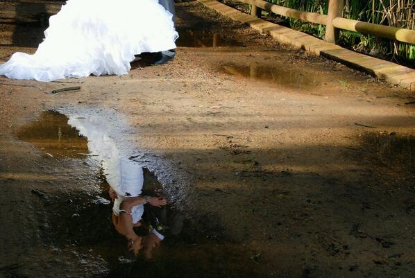 Look no further than the FHS MD-X! #guaranteedprofessionals