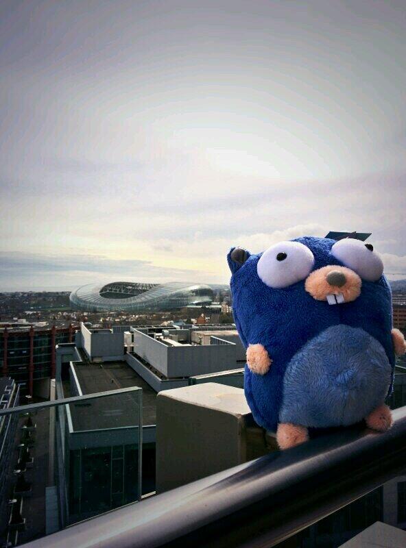 nomadgopher's tweet image. Enjoying the great weather of Ireland!
