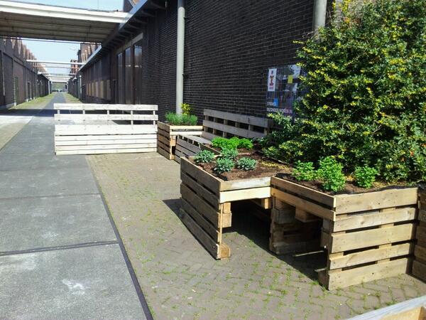 Stadslandbouw in Almelo. Kruidentuin voor <a href="/SmaakVan/">De Smaak Van...</a> in Kalverstraatje <a href="/indie_almelo/">Indië_Almelo</a>. Laat de zomer maar komen.