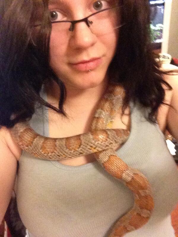 Amizzle_Crizzle's tweet image. #snakecuddles