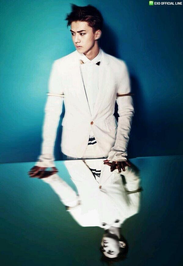 桔梗 Balloonflower Twitter