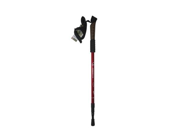 AnakRimbaAdv's tweet photo. Energia Trekking Pole Rp 90.000 http://t.co/yGCaqoruit http://t.co/5jpevU4pLa