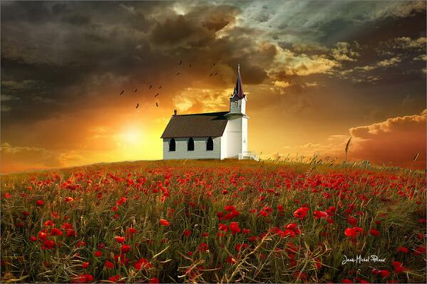 Gabriele_Corno's tweet photo. In the poppies by Jean-Michel Priau http://t.co/aVyN8tdstl