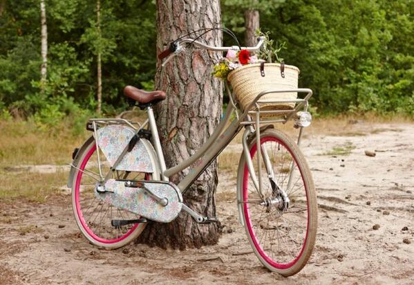 lief! fietsen on Twitter: \