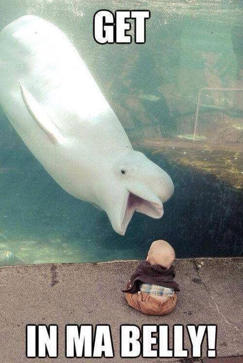 HellishGraphics's tweet image. 