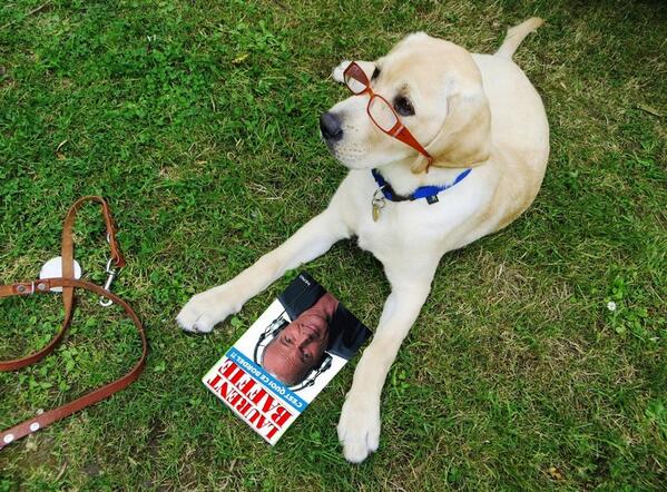 FFAChiensguides's tweet photo. Qui a dit que les #Chiensguides d'#Aveugles ne savaient pas lire ? @lolobababa http://t.co/1b1JzLwlEe