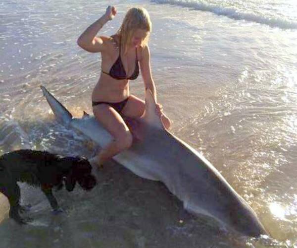 picture of girl with shark