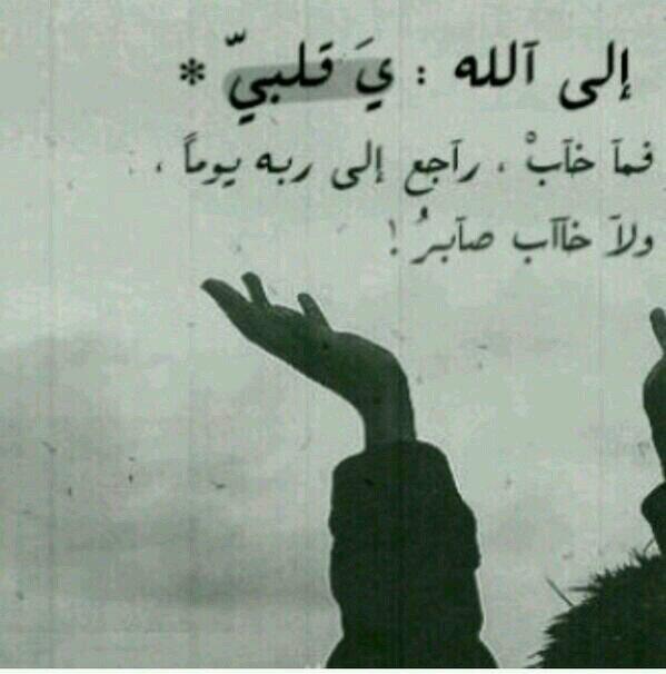 amola_1122 tweet picture