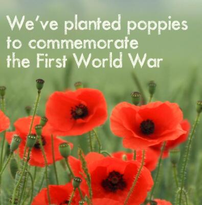 NatChurchTrust's tweet photo. Plant poppies in your churchyard on April 30 to commemorate WWI centenary http://t.co/Dyo5gGlnzX