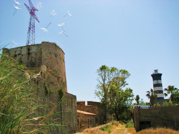 UPiluni tweet picture