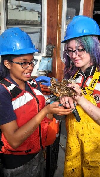 HarborSchool's tweet image. @ShaunHUD Thanks for mention on @BrianLehrer! Excited to bring aquaculture to @rebuildbydesign! #softinfrastructure