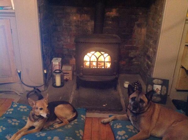 MillyWardle's tweet photo. #100HappyDays #Day4- Following a FABULOUS performance tonight, chilling by the fire with my 2 favourites :) <3 http://t.co/x3SjIduKNV
