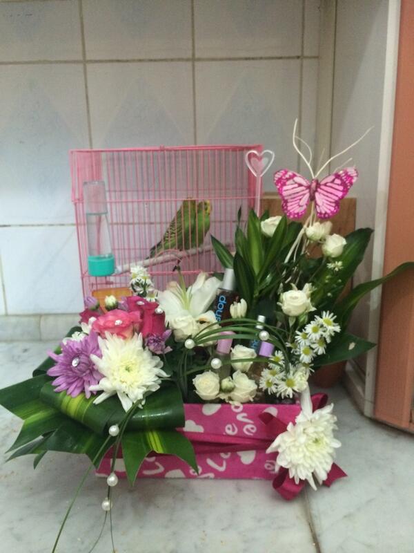hanoon20001's tweet photo. بس طلعت لايقه على عصافيري اكثر 😤 http://t.co/Urg0FwstL5