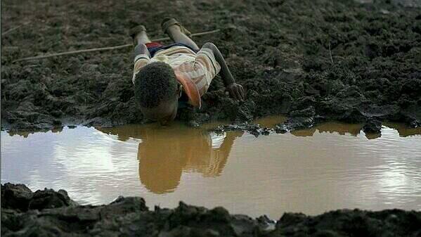 mgenobr94's tweet photo. Nosotros derrochando agua y ellos bebiendo de donde pueden. Que injusta es la vida #AEE_G722 http://t.co/nIv8YtyqoM