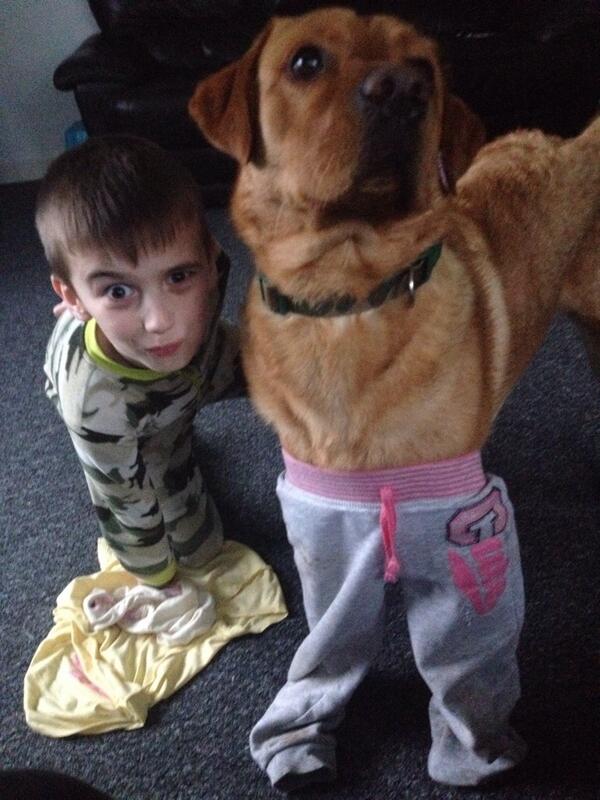 RhiJenks92's tweet image. Can't describe how funny I find this photo!! 😂 Poor Shad, but my Bros face is priceless!! #Hilarious #NormalAntics 😂😂