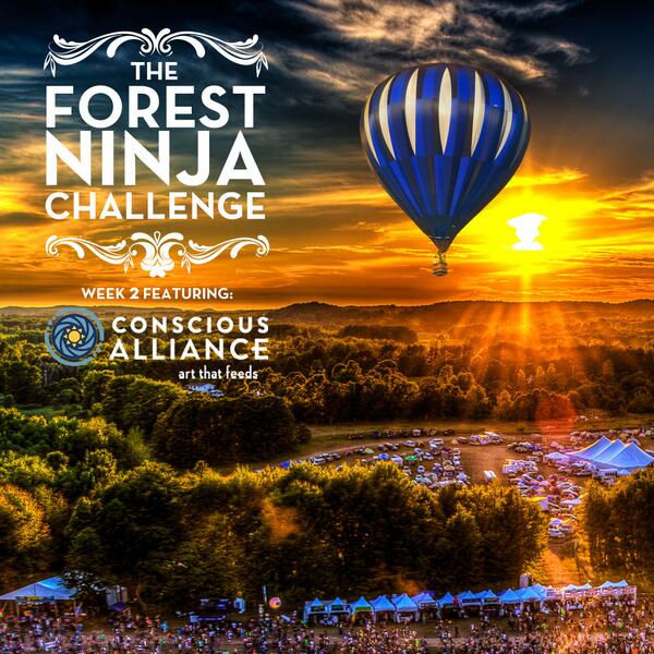 Electric_Forest's tweet photo. #ForestNinja week 2! Get inspired by @ArtThatFeeds to win a balloon ride with @theglitchmob at http://t.co/zwuVtMcTCS http://t.co/T2NV80prL7
