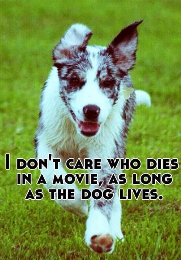 NotGuysHumor's tweet photo. RT if you feel the same way! http://t.co/zPqcikCQeN