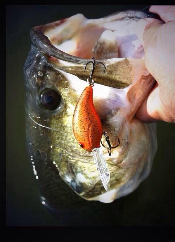 CloydRivers's tweet photo. Is it Summer yet? Merica. http://t.co/pyaHsqIHVS