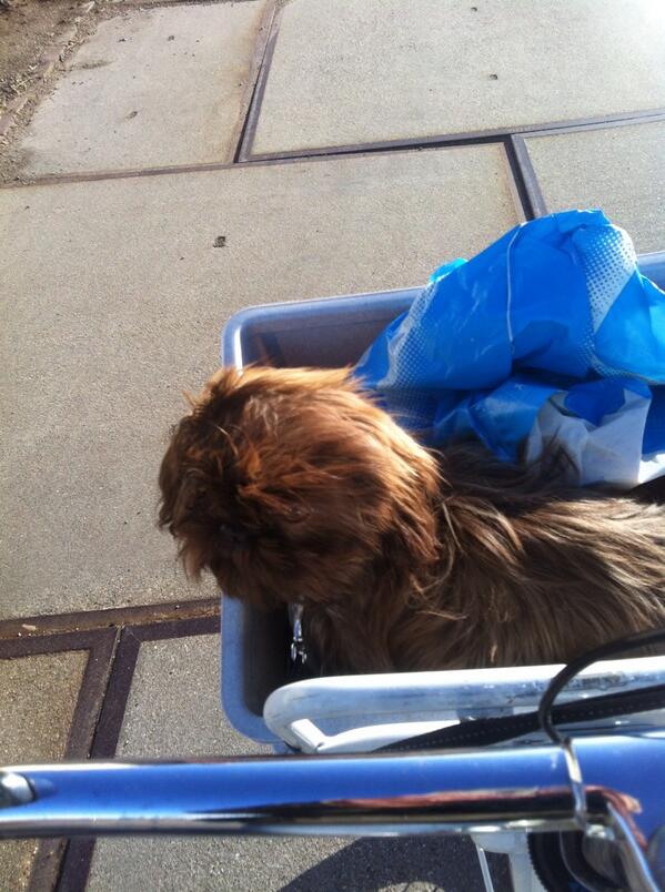 Ook zonder auto doen we het prima!