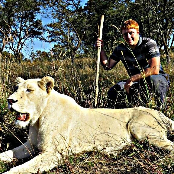 MeesErasmus's tweet photo. #lionsroar  #lions http://t.co/dqX6QZdtEV