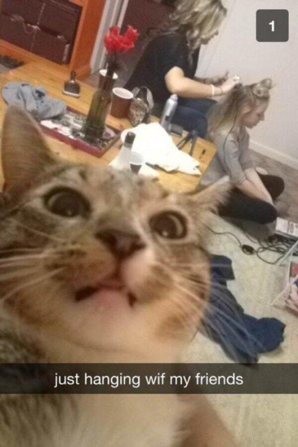 I Post Funny Snaps (@IPostFunnySnaps) / Twitter I Post Funny Snaps (@IPostFunnySnaps) / Twitter