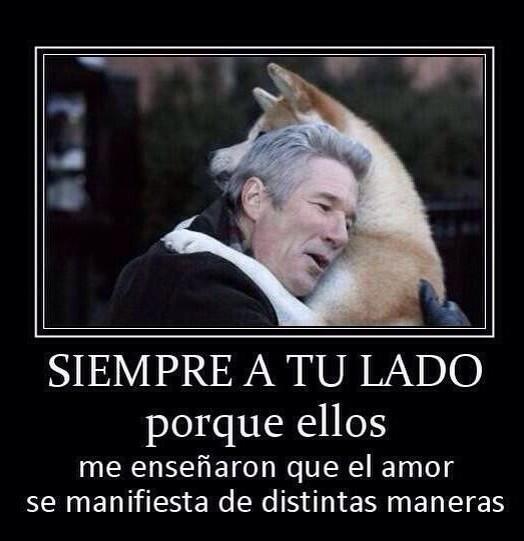 _Paisajes_'s tweet photo. SIEMPRE A TU LADO❤️ http://t.co/bAPI15bZLw
