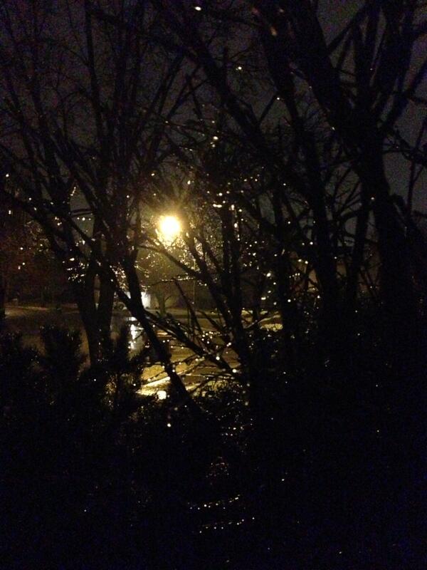 b_sorensen's tweet image. Freezing rain adds some "sparkle" to the trees. #rochmn #LifeInMN
