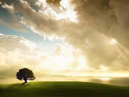 SRuniversity's tweet photo. Please Like Nature................................... http://t.co/zkPnNPrO57
