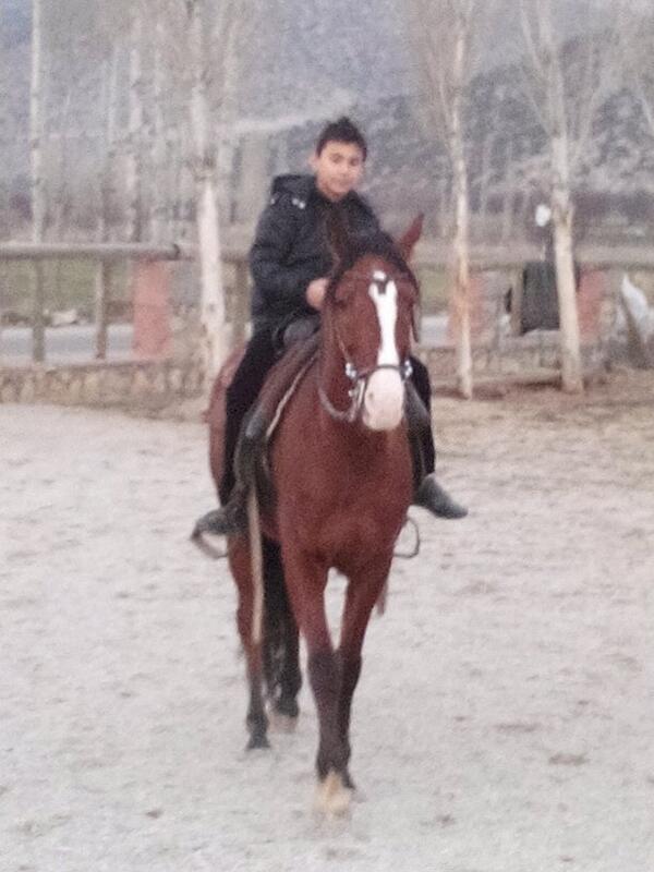 Ali Türkel (@alitrkel4) on Twitter photo 