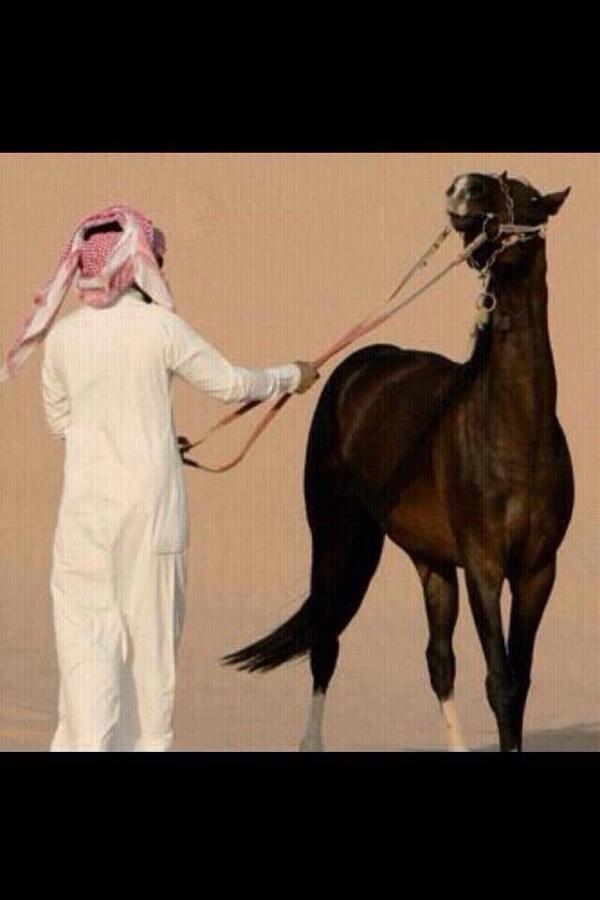 boo7Kuw's tweet photo. قالوا تحب الخيل ياعاشق الخيل
قلت المشاعر وصفها فوق قولي

صهيلها يطرب لها القلب بالحيل
فيها جموح  وللمسافه تجولي http://t.co/gdJ5RTRYE9