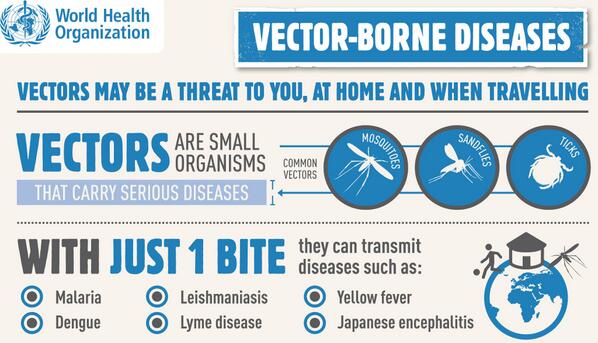 #WorldHealthDay w/ #Just1bite vectors can transmit diseases like #malaria, #denguefever, #Chagas disease. Source: WHO