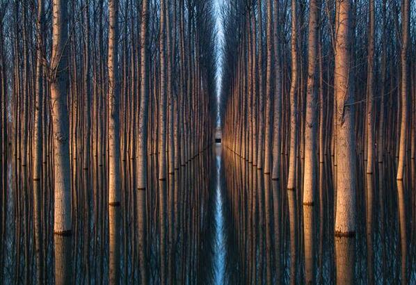 Gabriele_Corno's tweet photo. "La fuerza de las lineas en la fotografia" / Simmetry, Spain  by Oliver Delgado (real shot) #armony #simmetry http://t.co/c3EFvlOl3Y