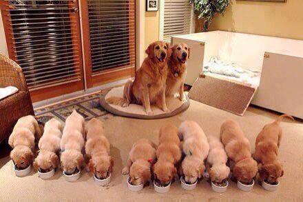 OraYReflexiona's tweet photo. Cena familiar. http://t.co/nhpus4Fryf