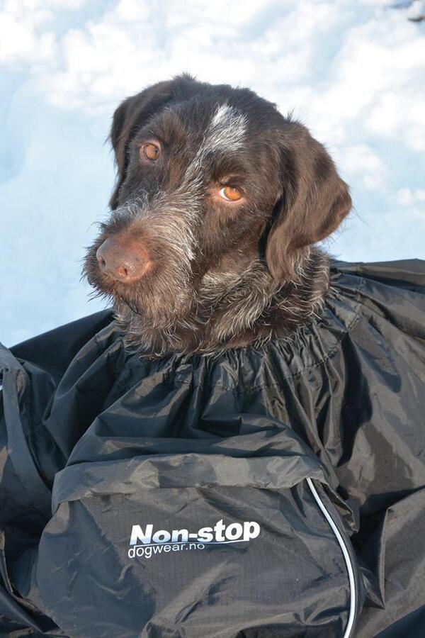 Biffy in the multibed :-)