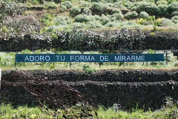 mensajeanoniman's tweet photo. "ADORO TU FORMA DE MIRARME" #tenerife #cartel #autopista #anoniman http://t.co/fCPfTlAjGq